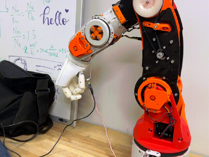 Arm with AmazingHand attached