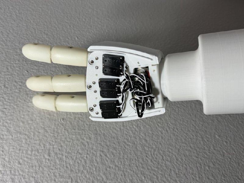 Back of hand showing servos